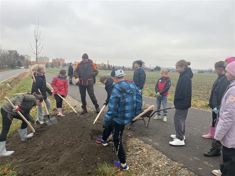 Obrázek - Sázení stromů